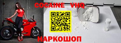 стафф Кингисепп