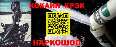 стафф Кингисепп