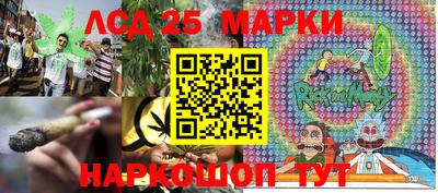 стафф Кингисепп