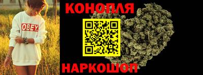стафф Кингисепп