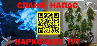 трава Кинель