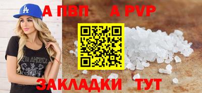 стафф Кингисепп