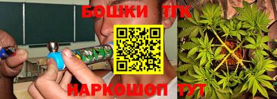 стафф Кингисепп