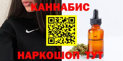 стафф Кингисепп
