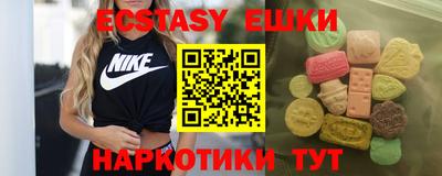 стафф Кингисепп