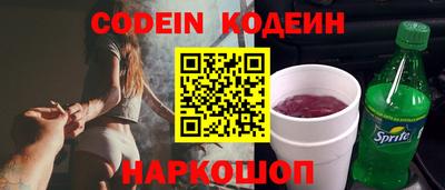 стафф Кингисепп