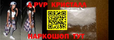 стафф Кингисепп