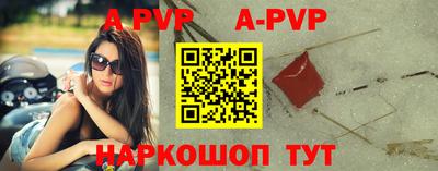 стафф Кингисепп